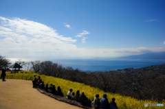 穏やかな日