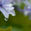 water jewelry