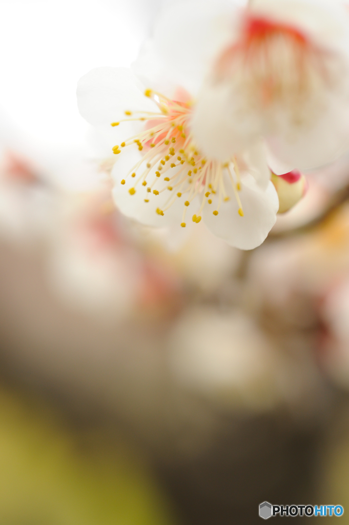照れ隠し