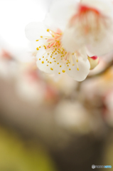 照れ隠し