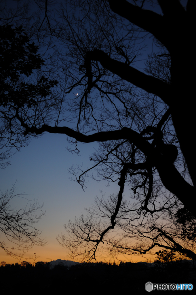夕焼けの月