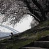 桜の下で過ごす時間