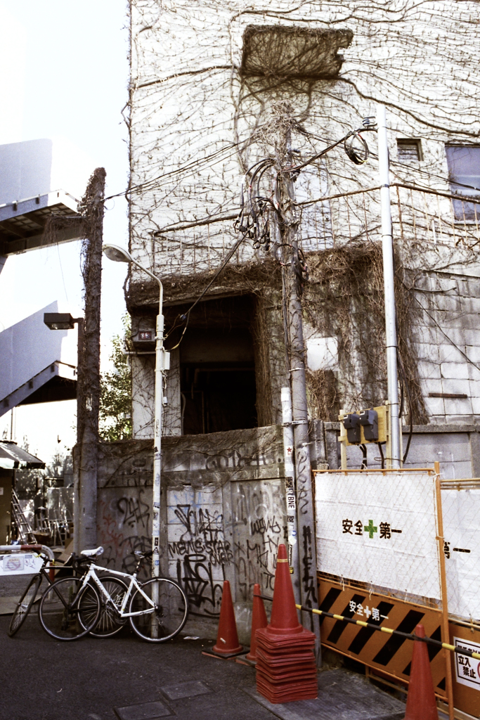表参道の横顔