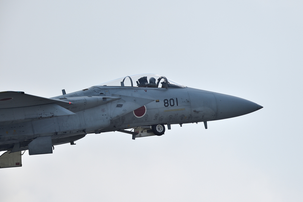 明野駐屯地航空祭2017④　空自も飛びますF-15