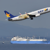 スカイマーク特別塗装機　セントレアにコレ飛ばす？