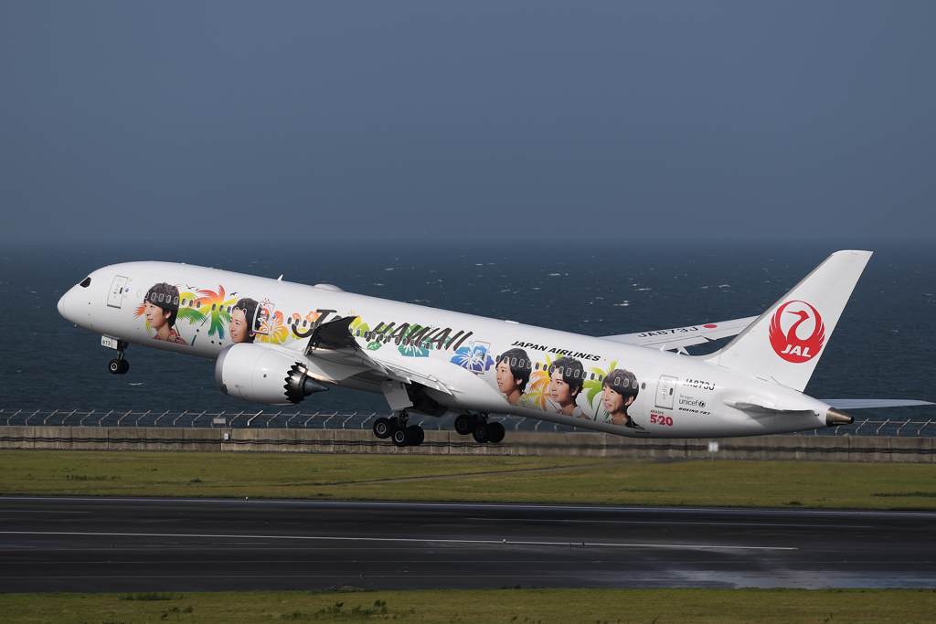 JAL ARASHI HAWAII JET