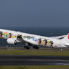 JAL ARASHI HAWAII JET