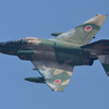 2017静浜基地航空祭　RF-4