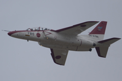 築城基地航空祭2017　レッドドルフィンもノリノリで