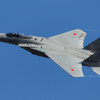 岐阜基地航空際　F-15
