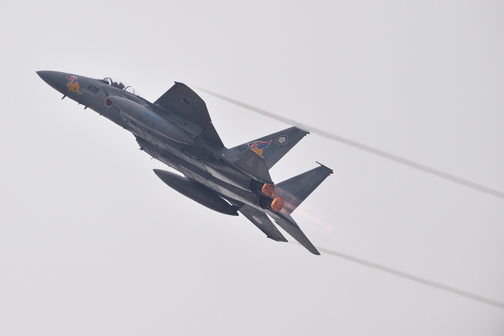 築城基地航空祭2017　F-15梅組スペマ機動飛行①