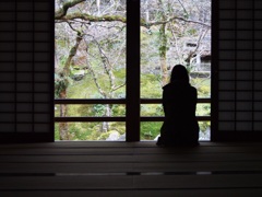 光明禅寺