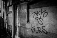 Tokyo is yours