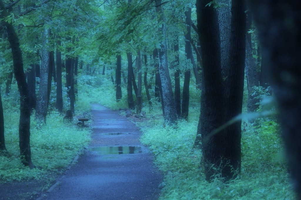 最寄り駅からの帰り道_1