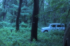 野ウサギ(Lapin)