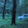 野ウサギ(Lapin)