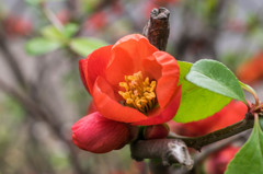 20150321-_DSC0009