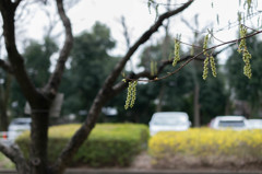 20150321-_DSC0129