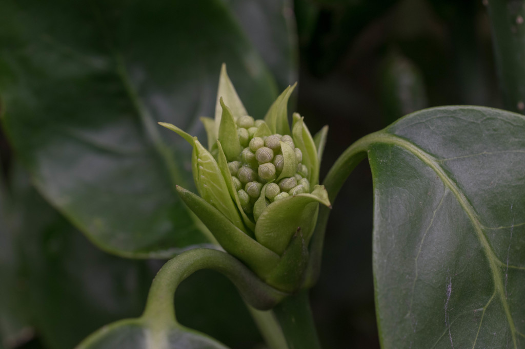 20150319-_DSC0003