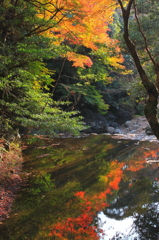 水面に映る紅葉