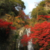 滝と紅葉と空