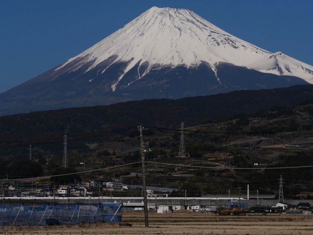 2月とは思えない暖かさ