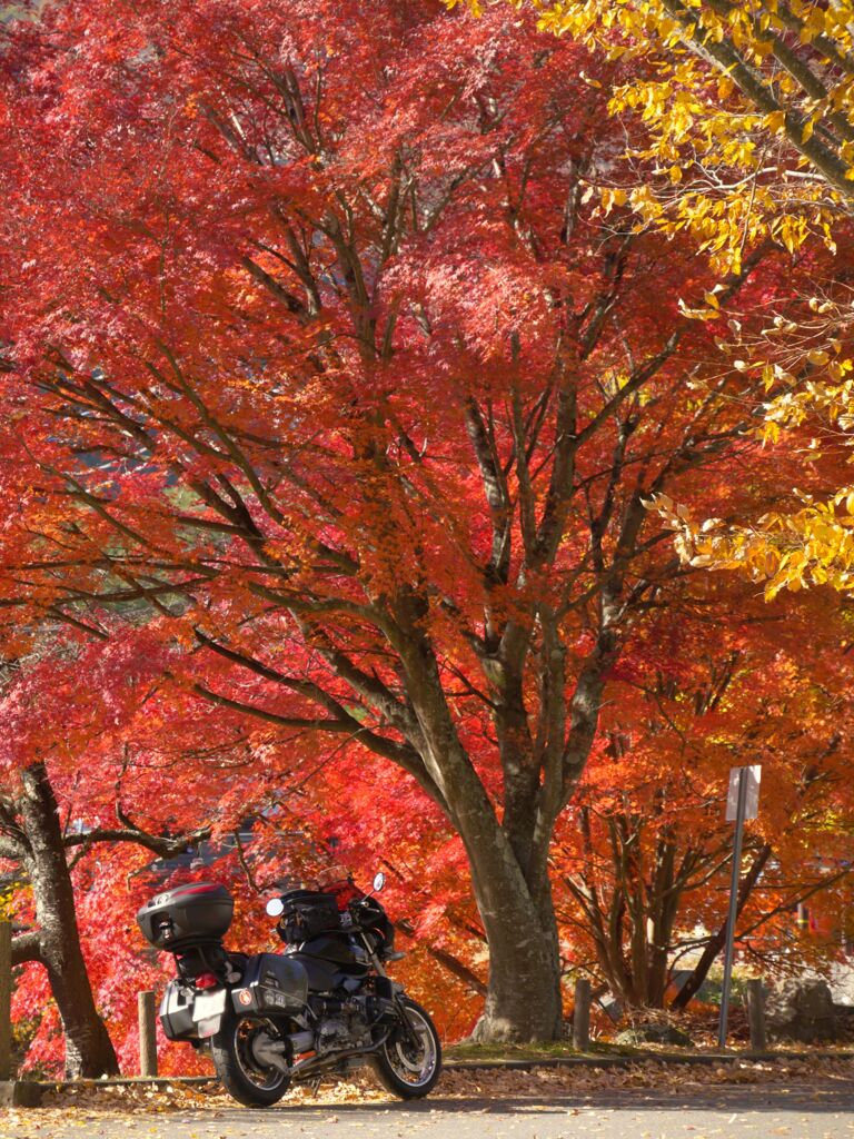 西湖ツーリング