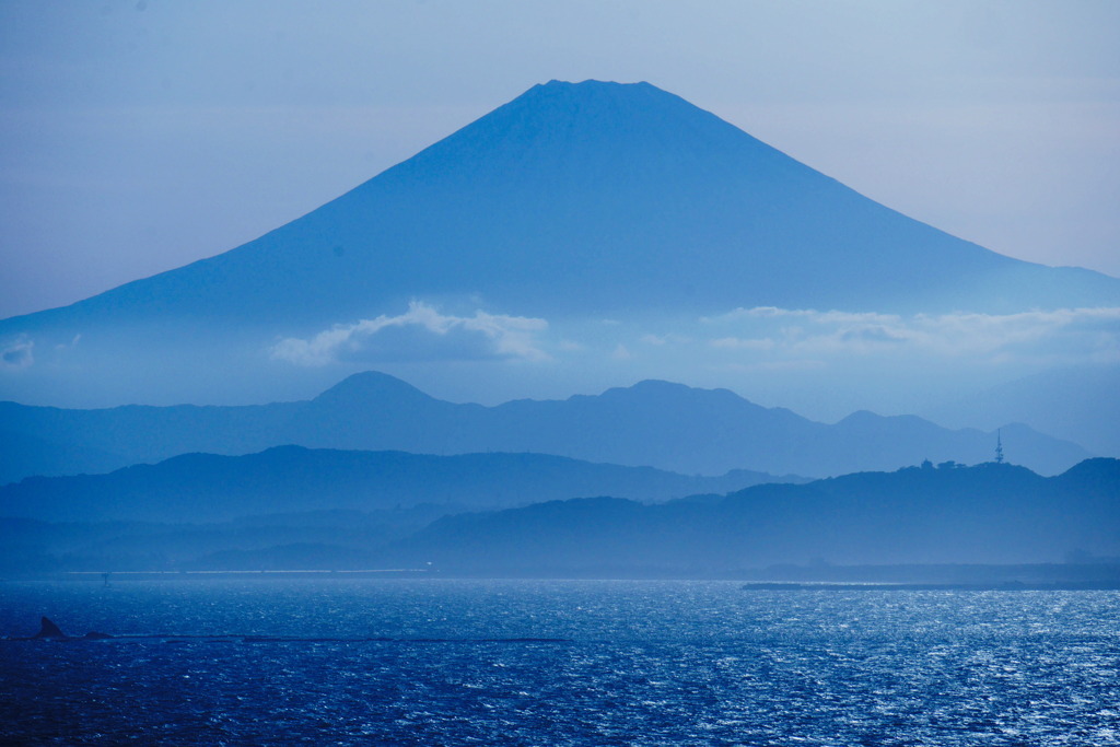 江ノ島からの富士　１