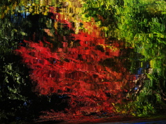 修善寺温泉　水面に映る紅葉