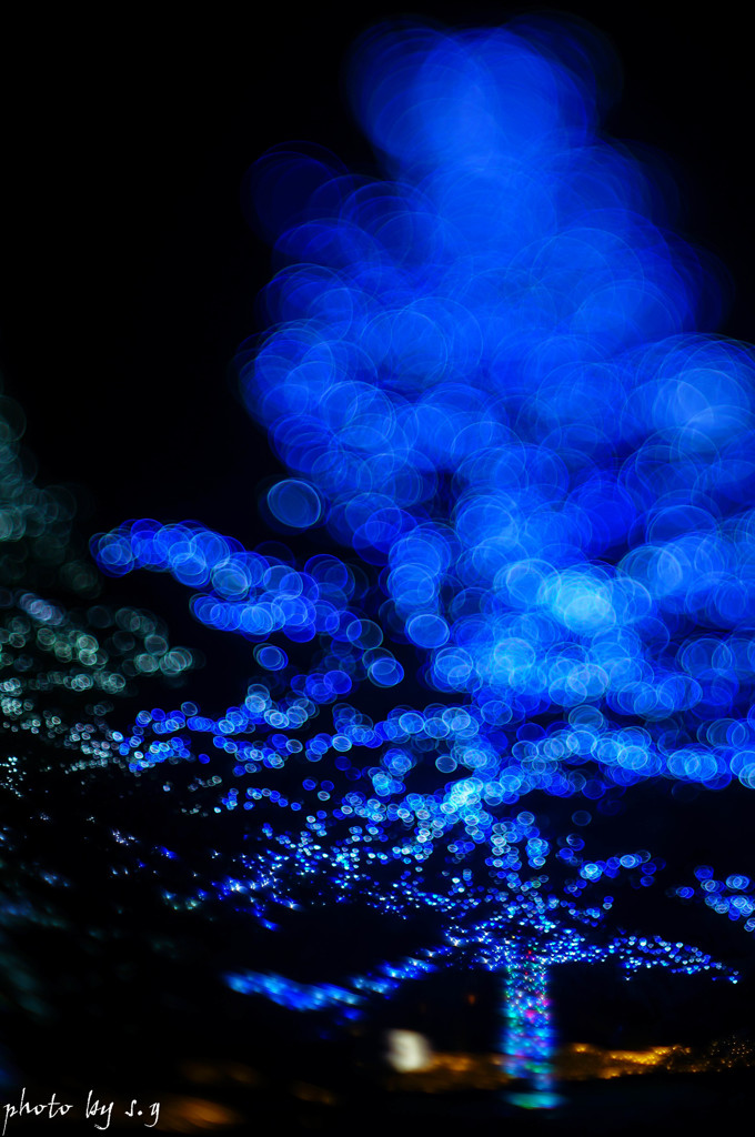 Blue Bokeh Tree