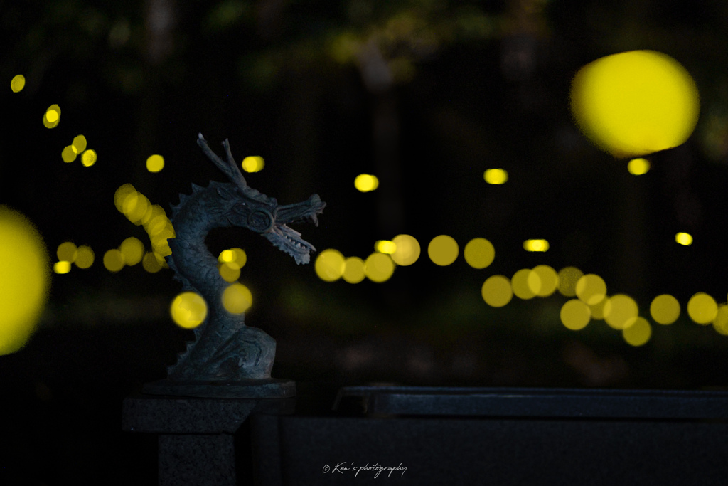 龍を慕って