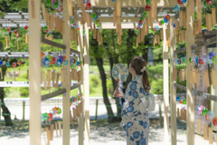 風の音がする場所