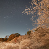 さくらともみじと星空と