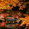 秋の夜の色映し