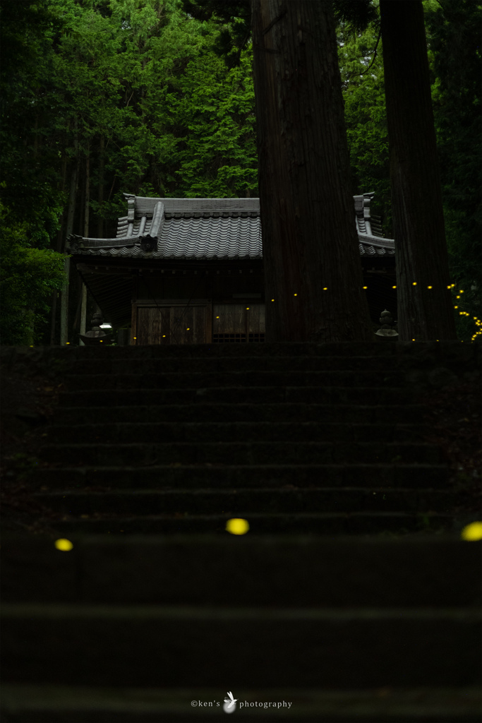 静寂の中の光