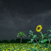 夏の星空