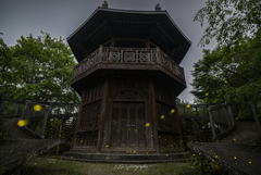 鐘塔に舞う