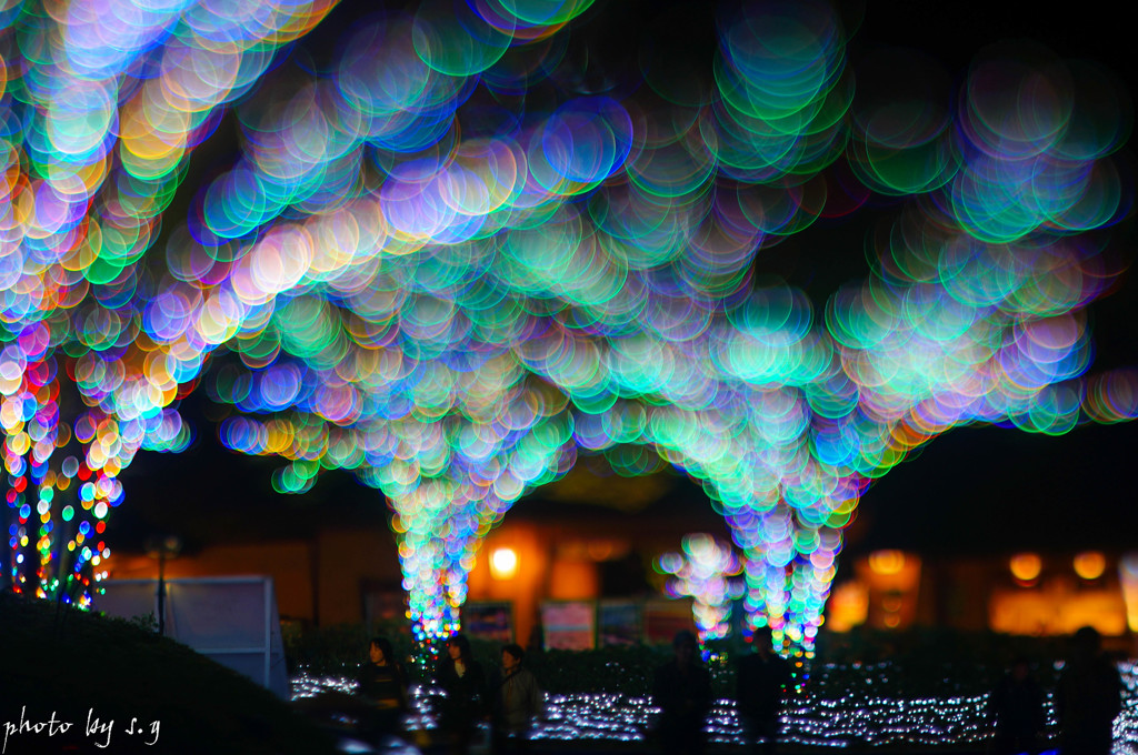 Bokeh ～家路につく人～