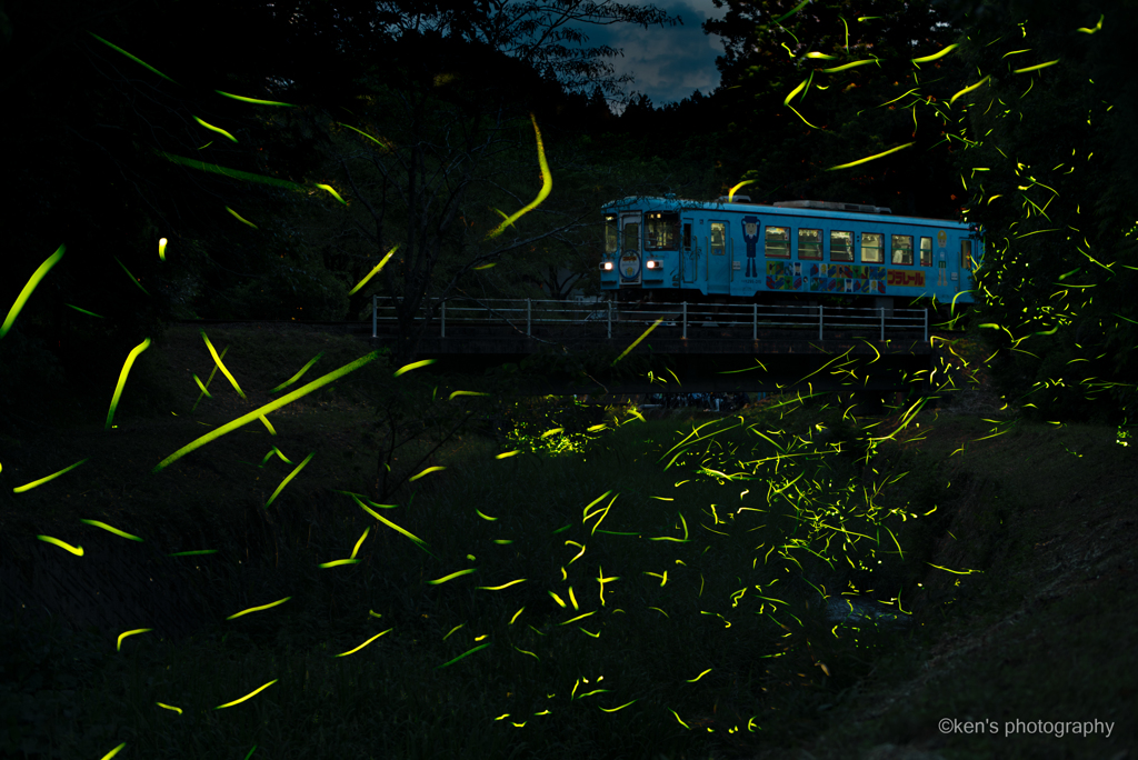 蛍列車が行く