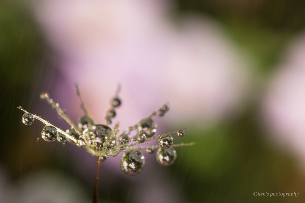 冷たい雨に打たれても…