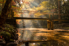 秋の竹橋