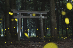 真夜中の神社の出来事