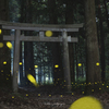 真夜中の神社の出来事