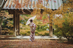 晩秋の彩