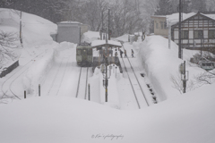 雪国の日々