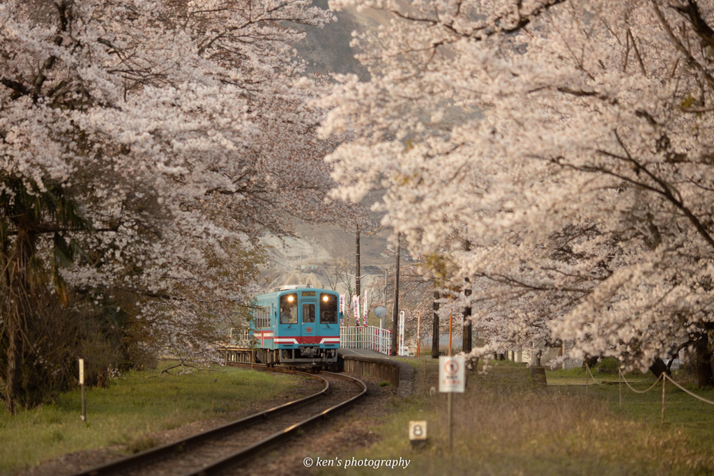 春色の駅