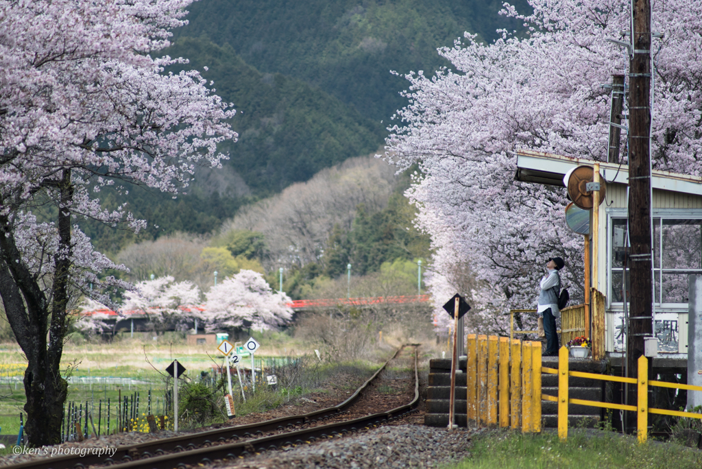 春色の汽車を待つ