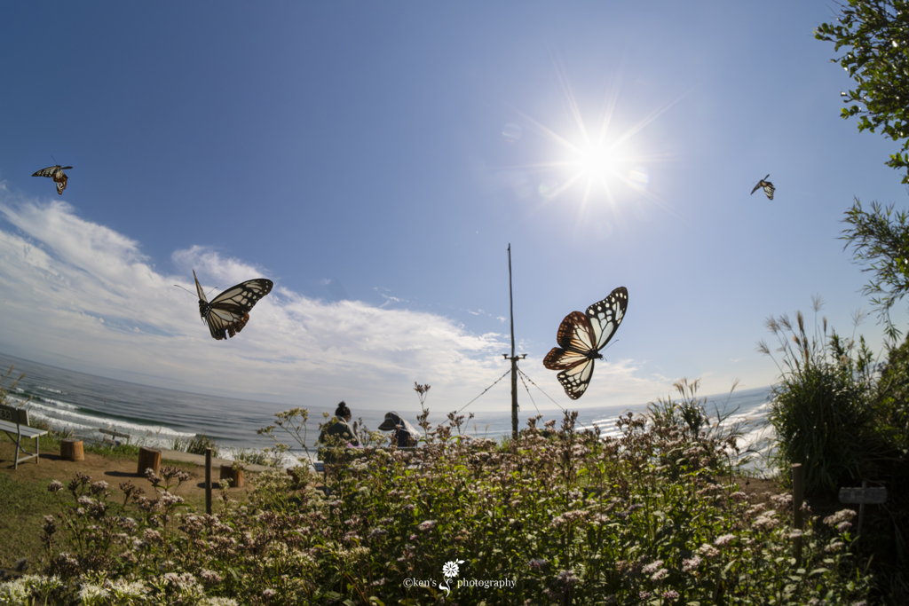 海が見える丘のベンチで