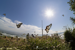 海が見える丘のベンチで