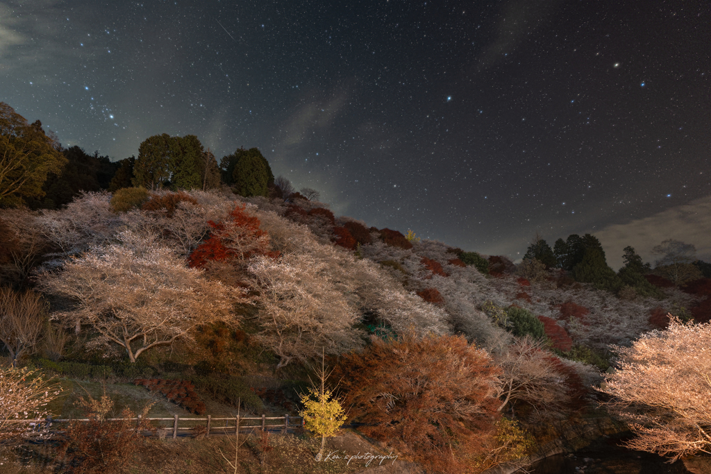 星と桜と紅葉と